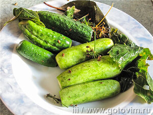 Малосольные огурцы в пакете