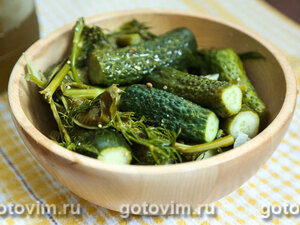 Малосольные огурцы с горчицей и кориандром